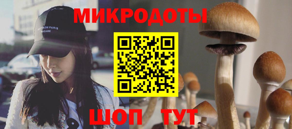 Псилоцибиновые грибы Cubensis  Вход с VPN  Дивногорск 
